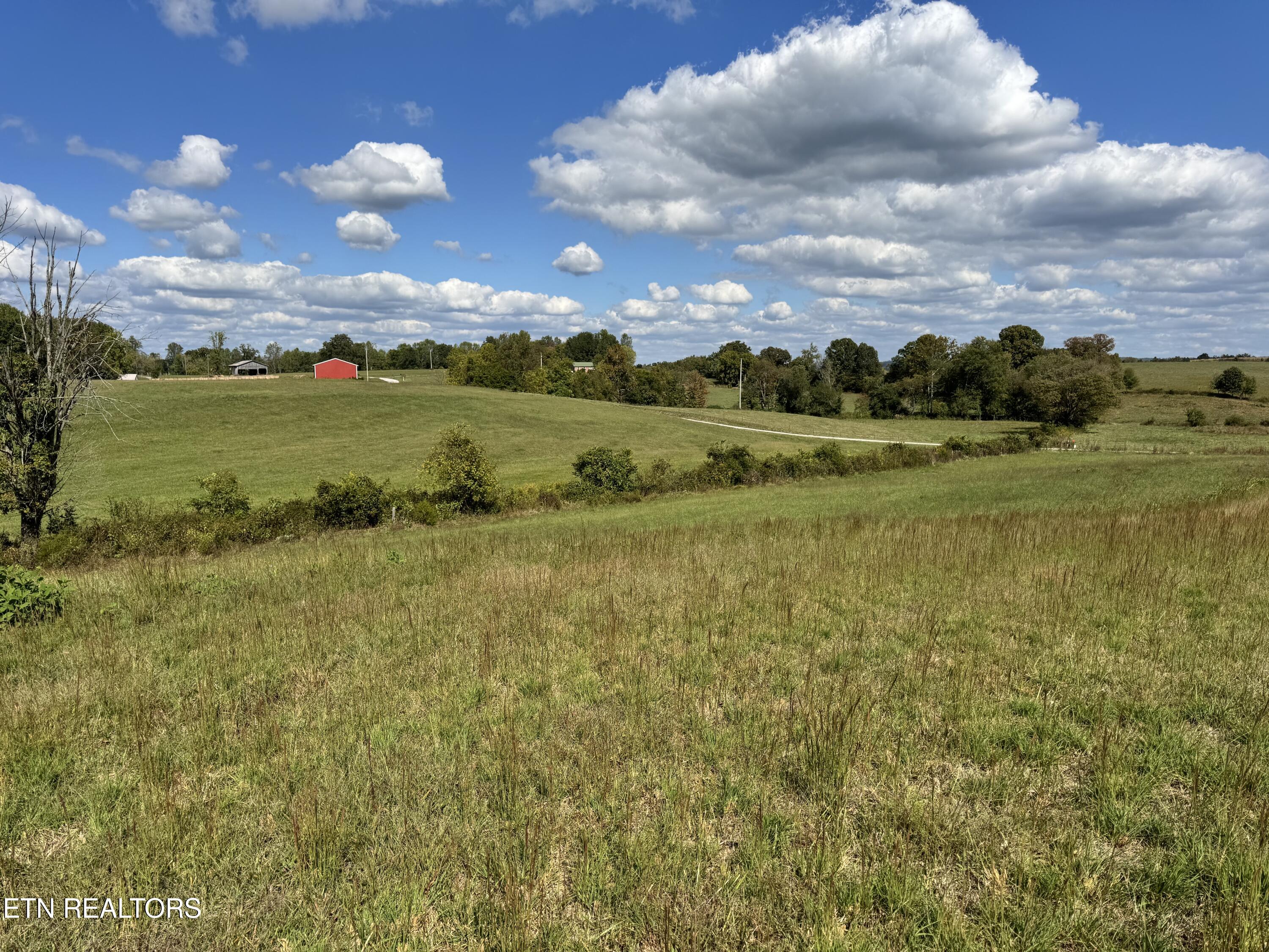 Odell Jolly Road Monroe, TN 38573 - Photo 5 of 9 IMG_4975