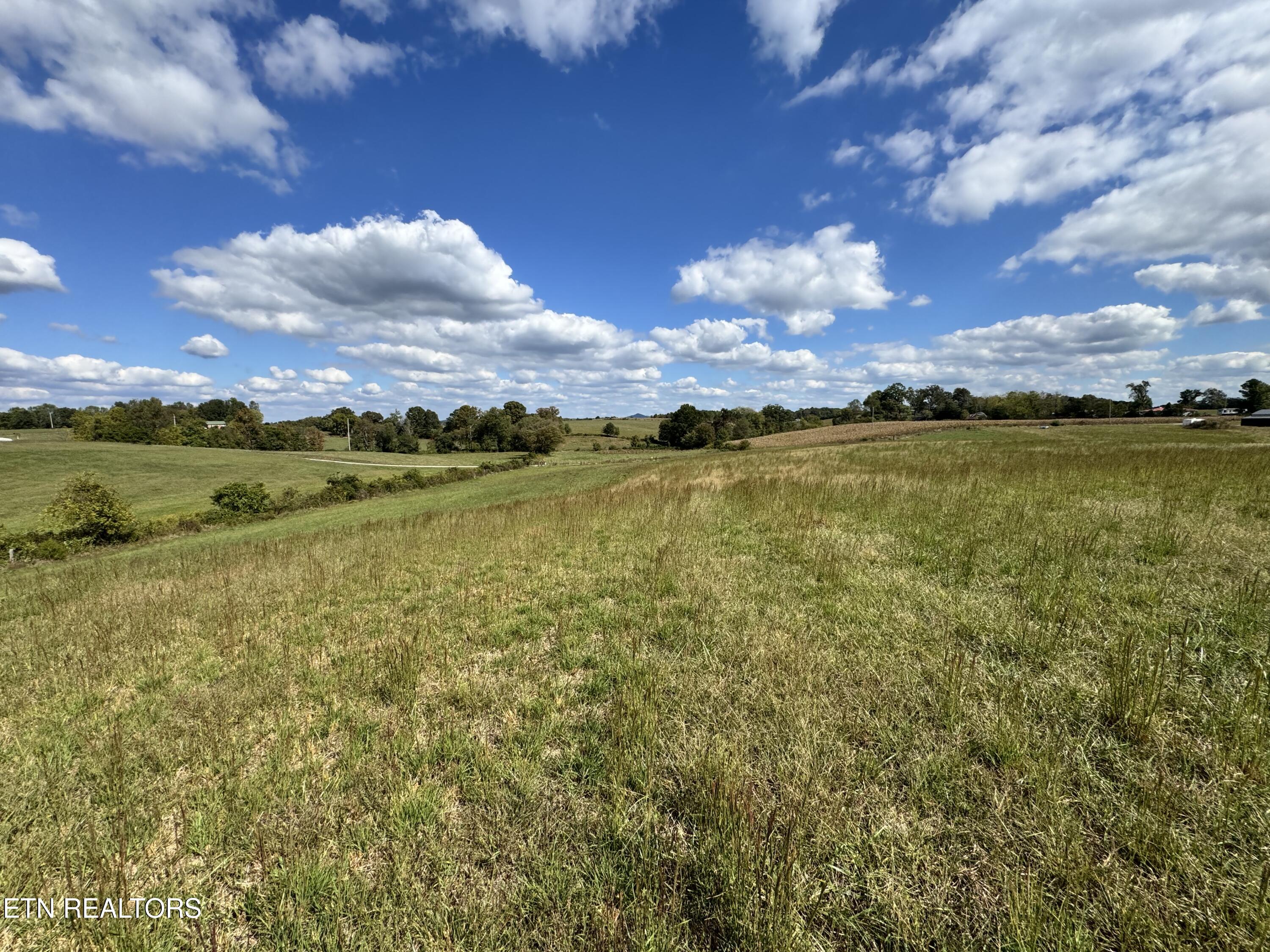 Odell Jolly Road Monroe, TN 38573 - Photo 6 of 9 IMG_4976