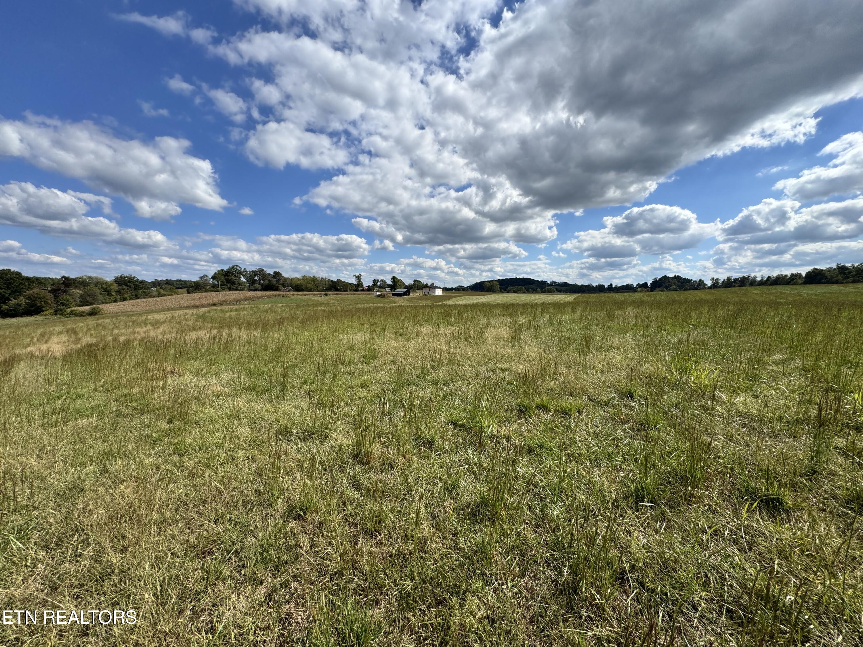 Odell Jolly Road Monroe, TN 38573 - Photo 7 of 9 IMG_4977