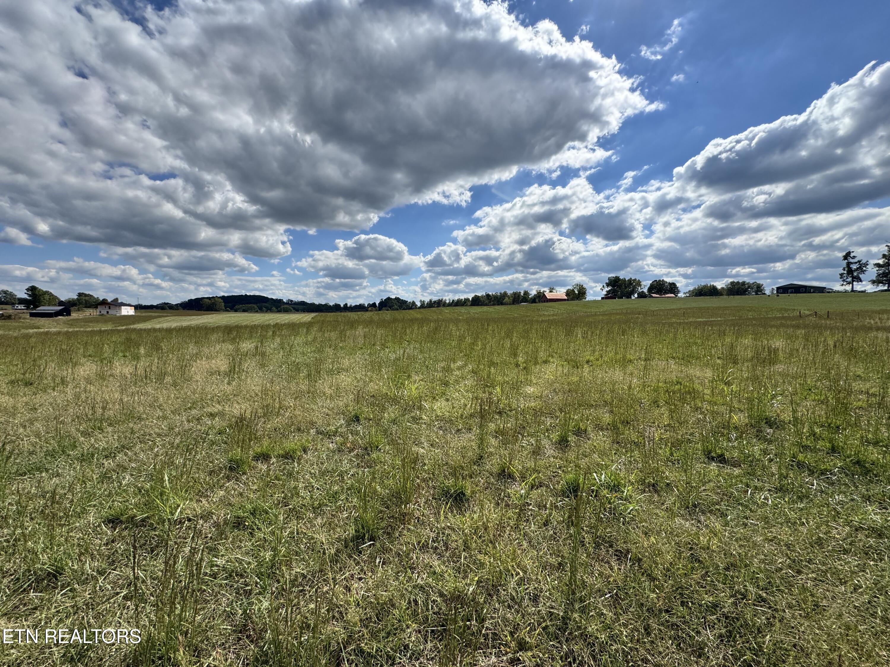 Odell Jolly Road Monroe, TN 38573 - Photo 8 of 9 IMG_4978