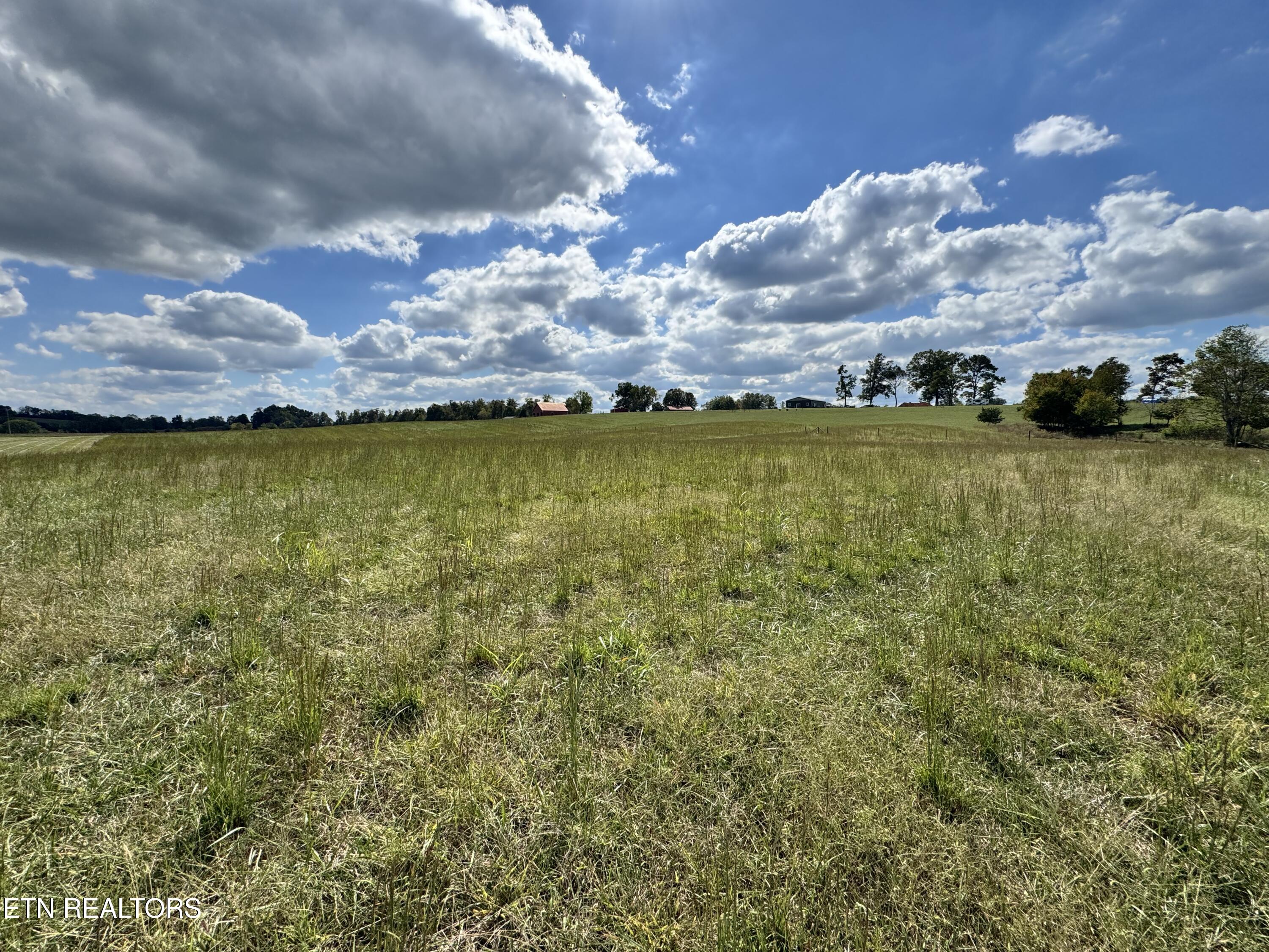 Odell Jolly Road Monroe, TN 38573 - Photo 9 of 9 IMG_4979