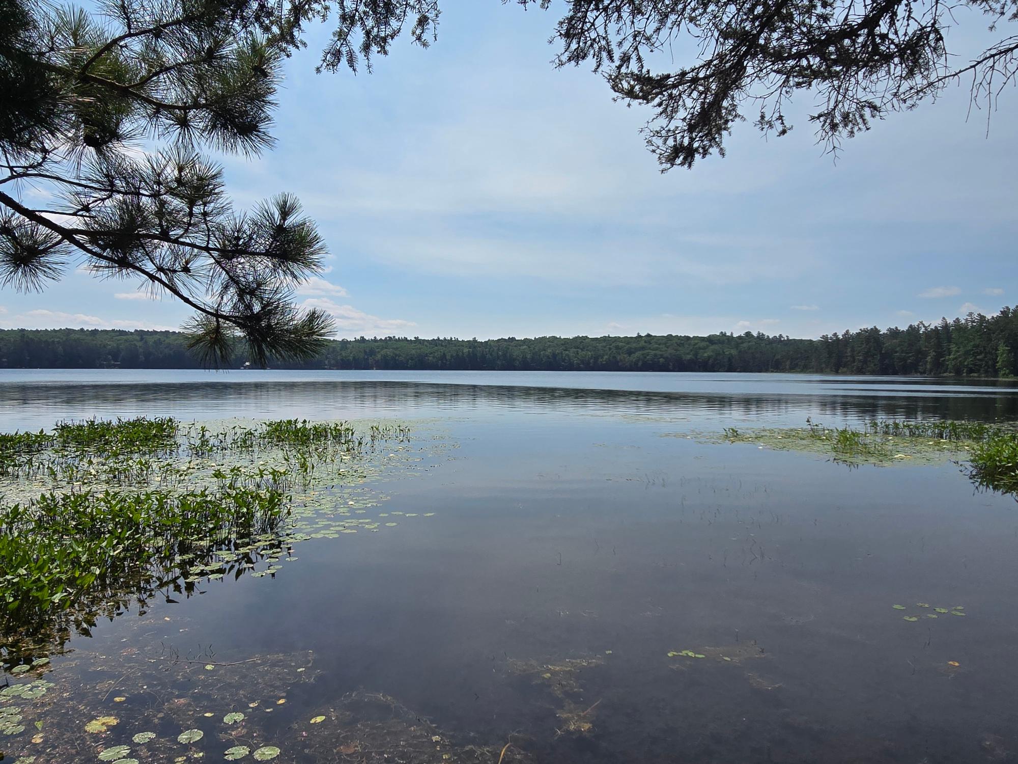 Three Allyn Road Three Lakes, WI 54562 - Photo 9 of 16 Gallery Image 9