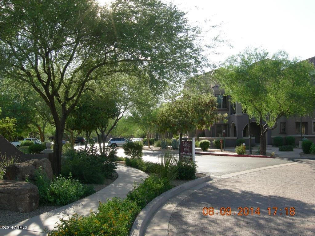 3935 East Rough Rider Road, Unit 1003 Phoenix, AZ 85050 - Photo 7 of 53 Lush landscaping though out