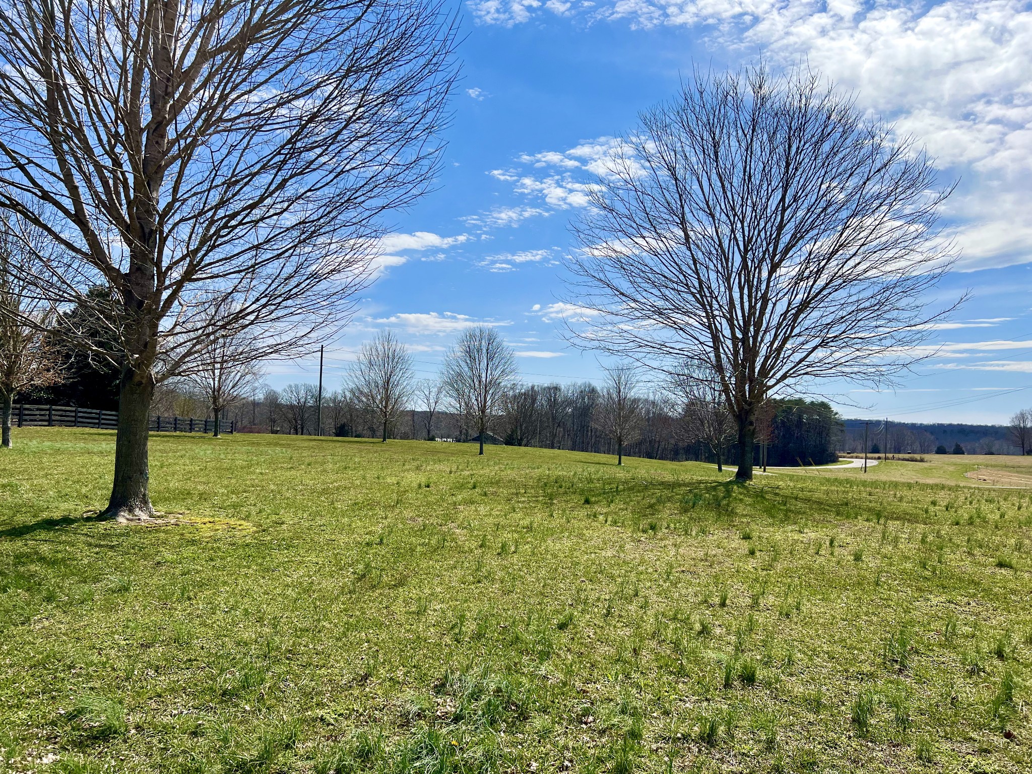 7859 Crow Cut Road Fairview, TN 37062 - Photo 6 of 26 Gallery Image 6