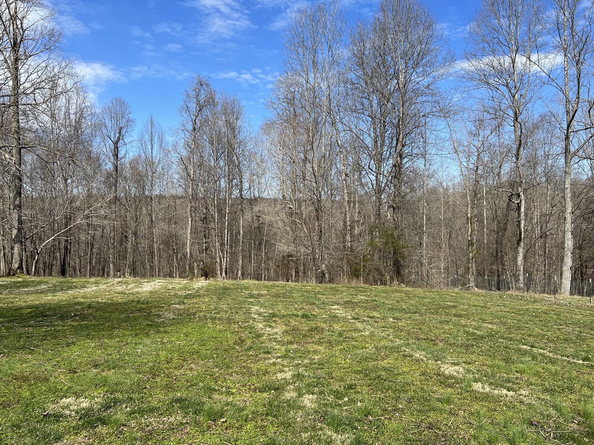 7859 Crow Cut Road Fairview, TN 37062 - Photo 7 of 26 Gallery Image 7