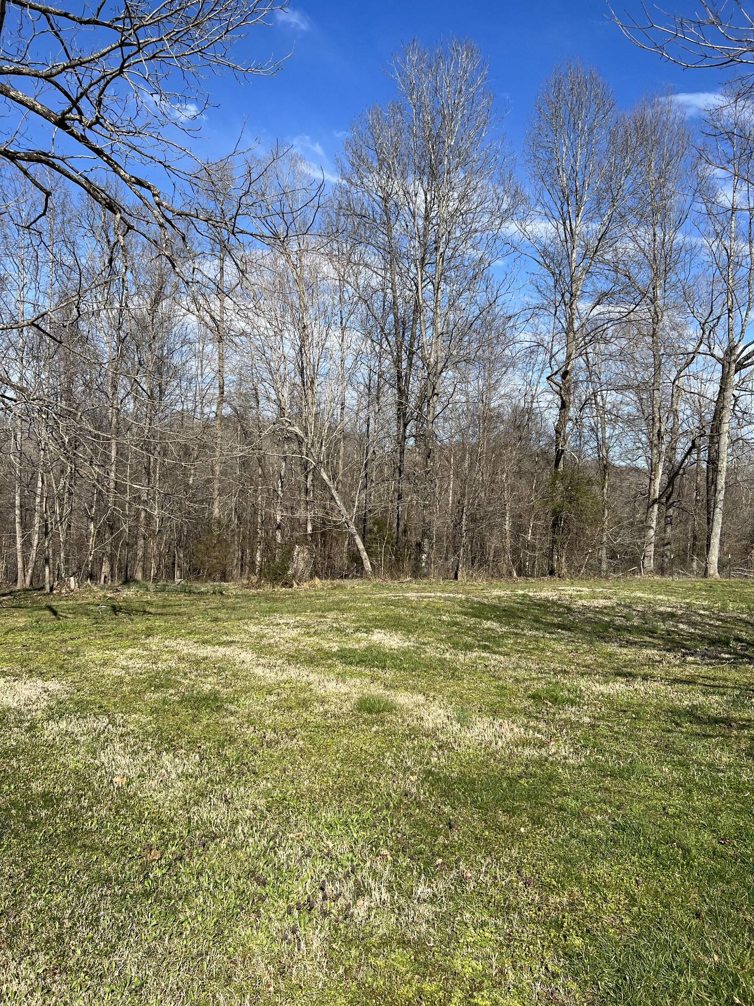 7859 Crow Cut Road Fairview, TN 37062 - Photo 8 of 26 Gallery Image 8