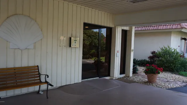 a potted plant sitting in front of a house