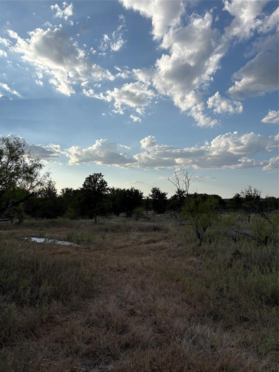 271 Wyatt Road Jacksboro, TX 76458 - Photo 13 of 40 Expansive open land featuring diverse foliage and a natural water feature