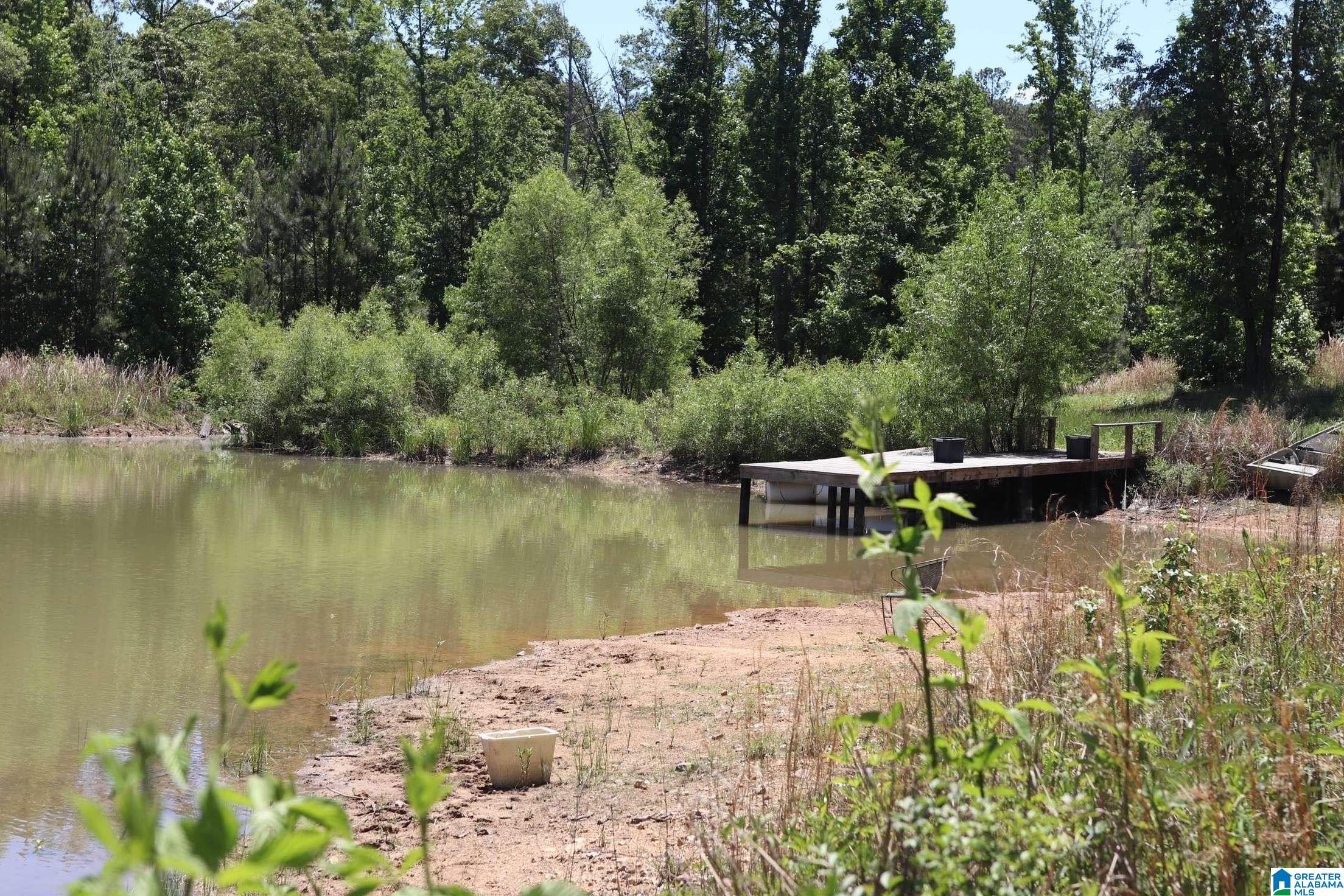 2930 Shocco Springs Road Talladega, AL 35160 - Photo 56 of 93