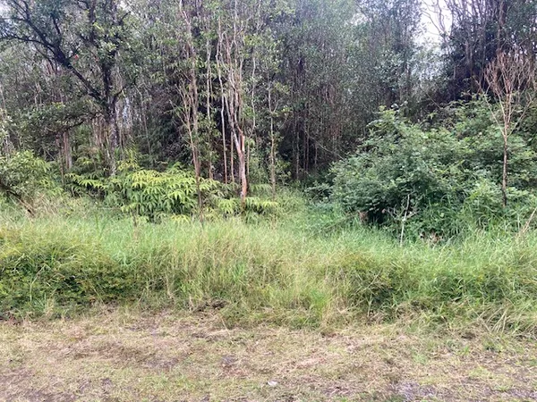 $20,500 | 283 Road 5 Volcano Hi 96785, Mountain View, HI 96771