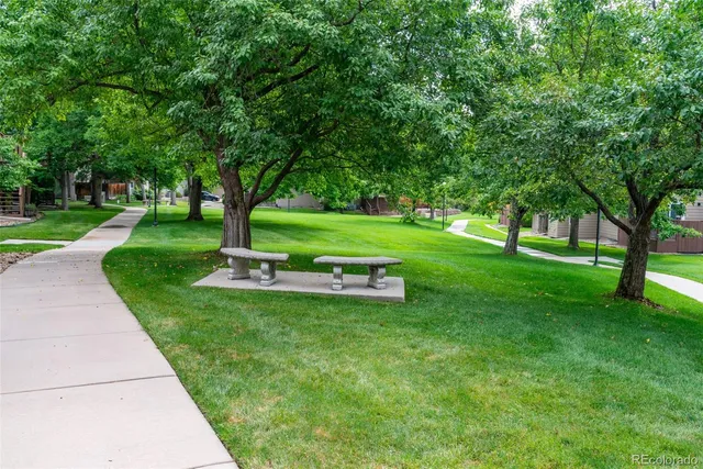 a view of a garden with trees