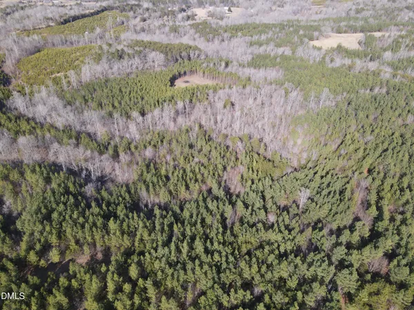 a view of a lush green forest with lots of trees