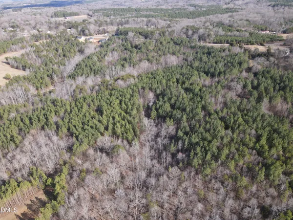 a view of a forest with trees all around