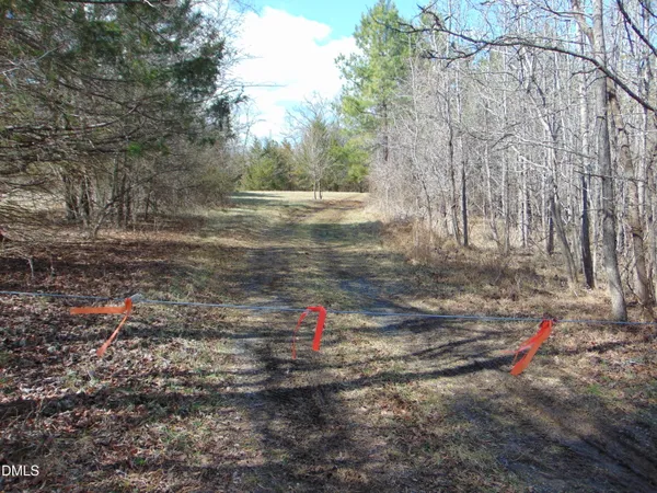 a view of empty space with trees