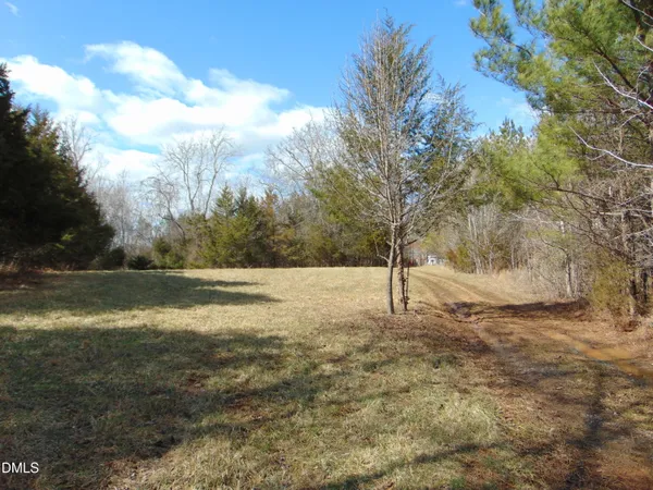 a view of a yard with trees
