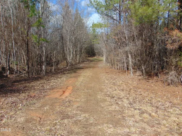a view of a backyard with trees