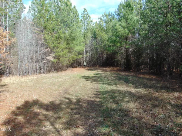 a view of a backyard of the house