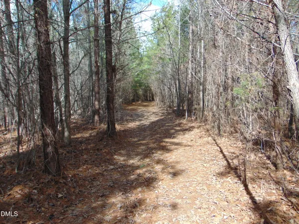 a view of a yard with large trees