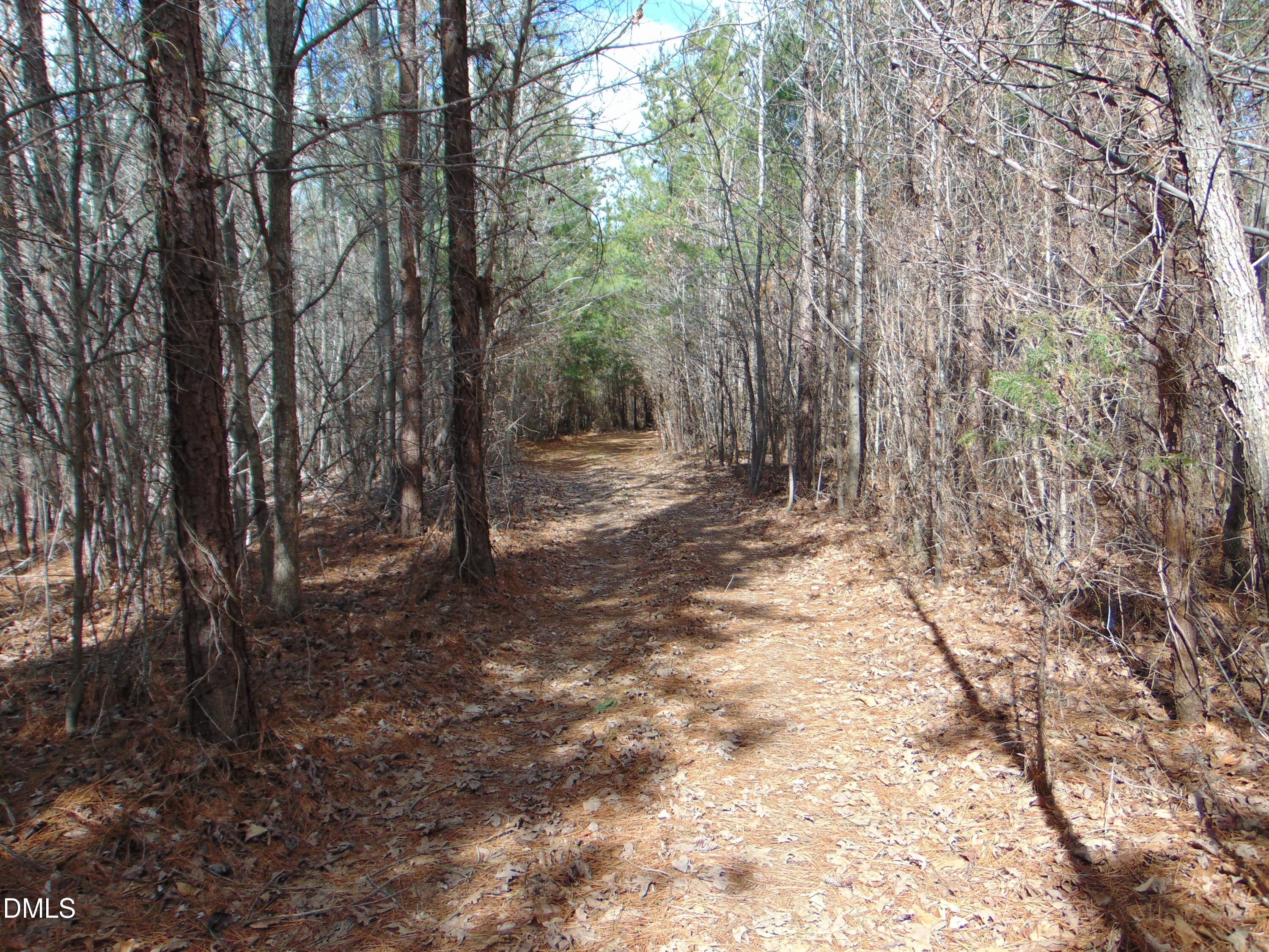0 Park Springs Road Providence, NC 27315 - Photo 29 of 46 a view of a yard with trees