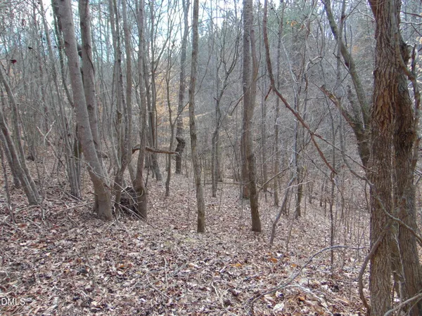 a view of dirt field with trees