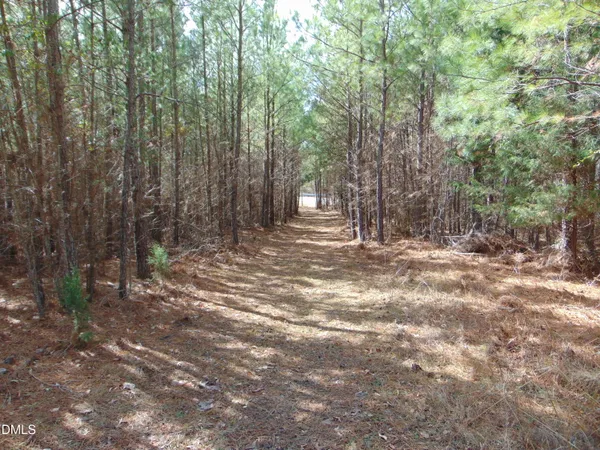 a view of outdoor space with trees