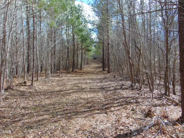 a view of a yard with trees