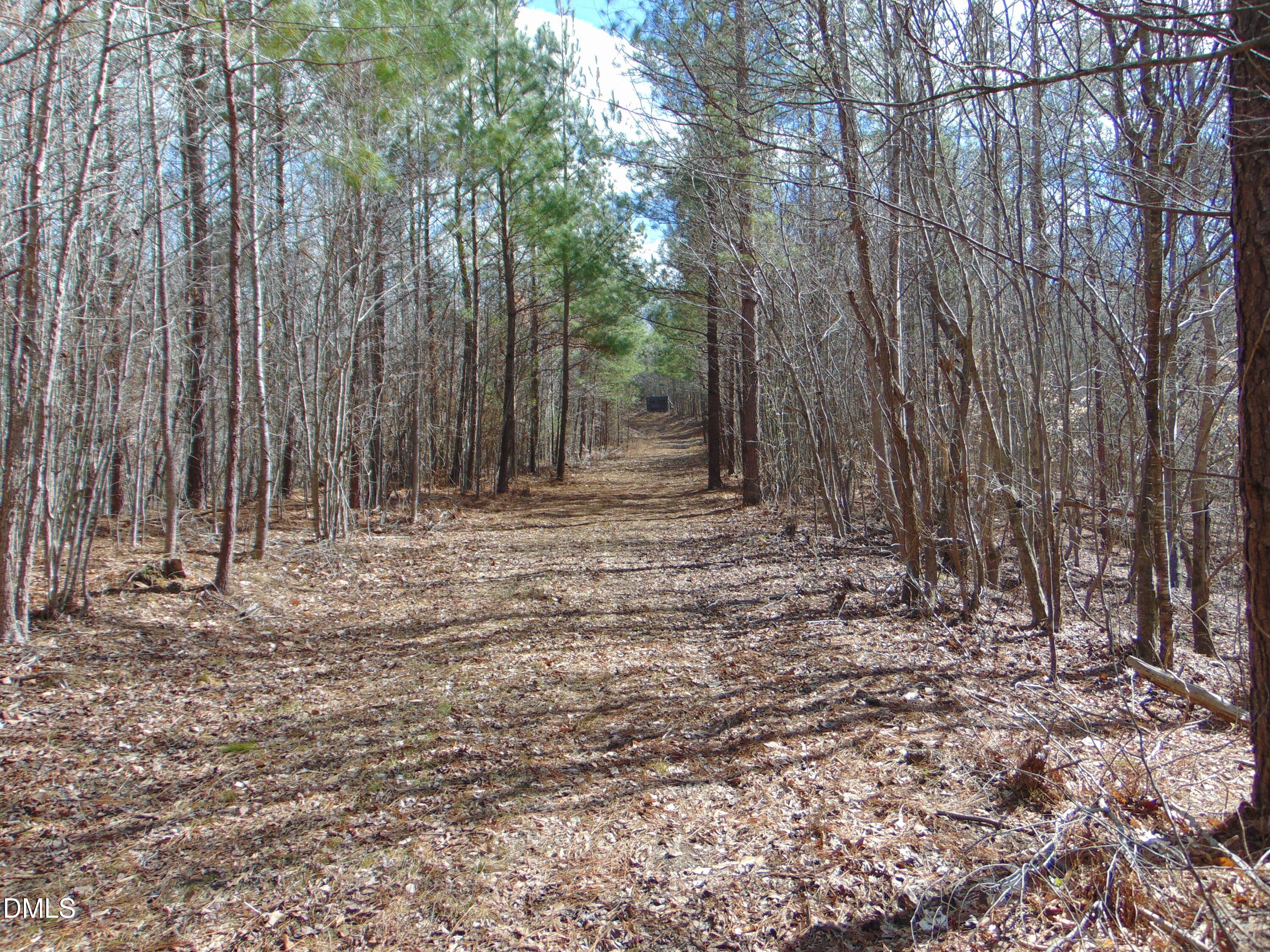 0 Park Springs Road Providence, NC 27315 - Photo 37 of 46 a view of outdoor space with trees