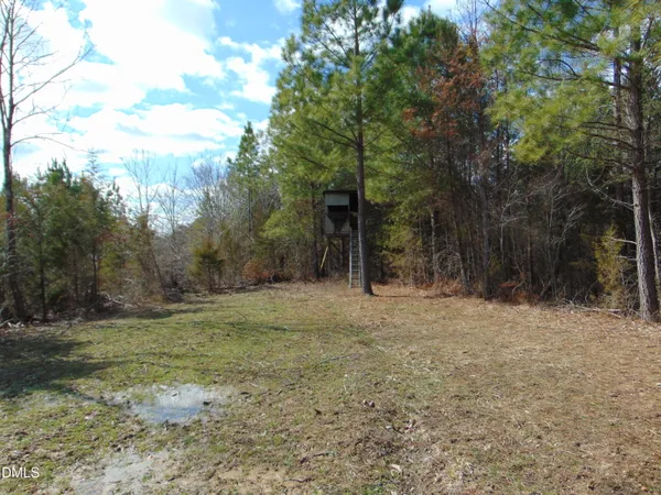 a view of a yard with trees in front of it