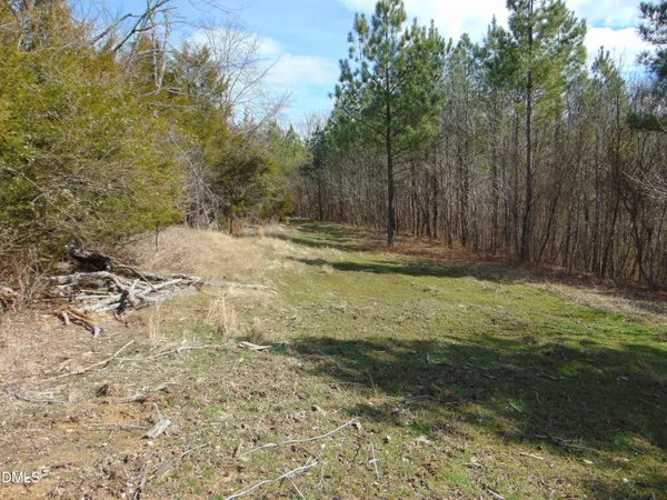 a view of a yard with trees