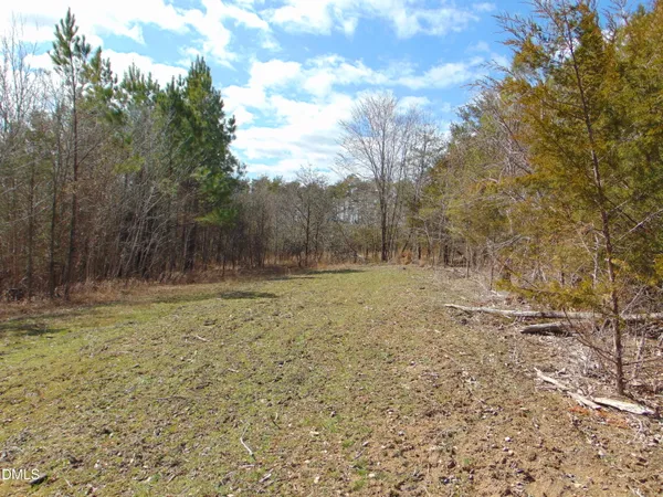 a view of large yard with trees