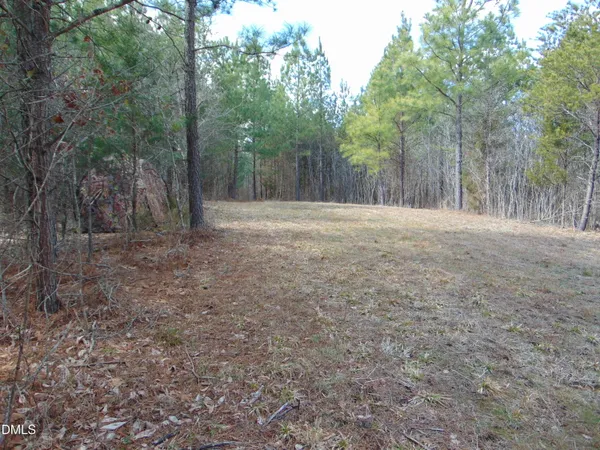 a view of outdoor space with trees