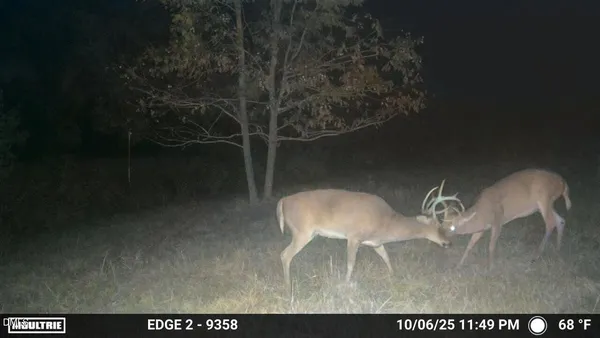 a view of a lake with a mountain in the background