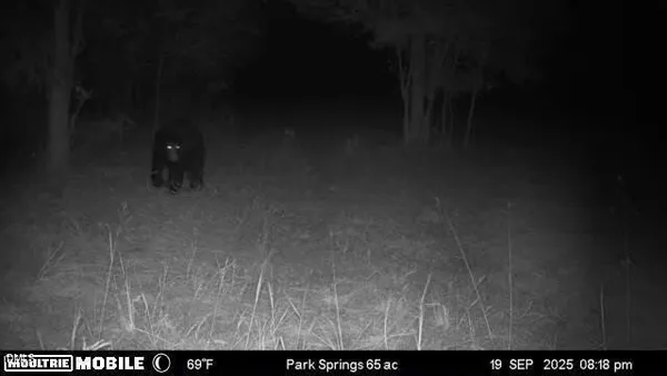 a view of lake with mountain