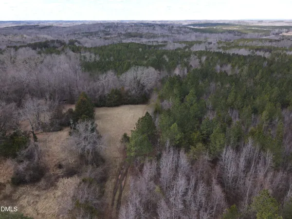 a view of a forest with lots of trees