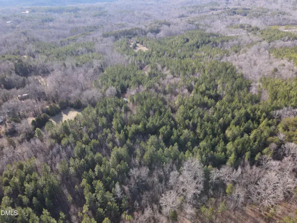 a view of a forest with a forest