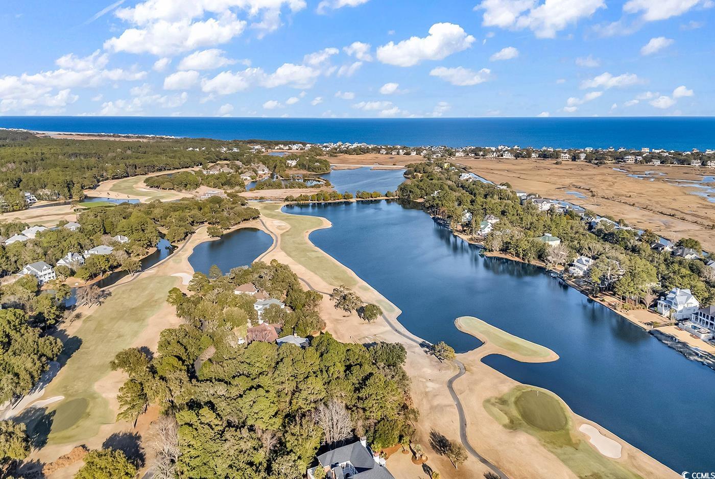 285 Swan Point Road Georgetown, SC 29440 - Photo 2 of 15 #18 Tee, #17 Green and WATER!