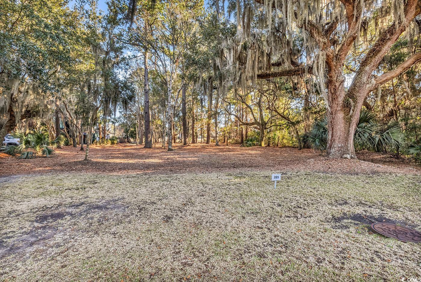 285 Swan Point Road Georgetown, SC 29440 - Photo 4 of 15 Gallery Image 4