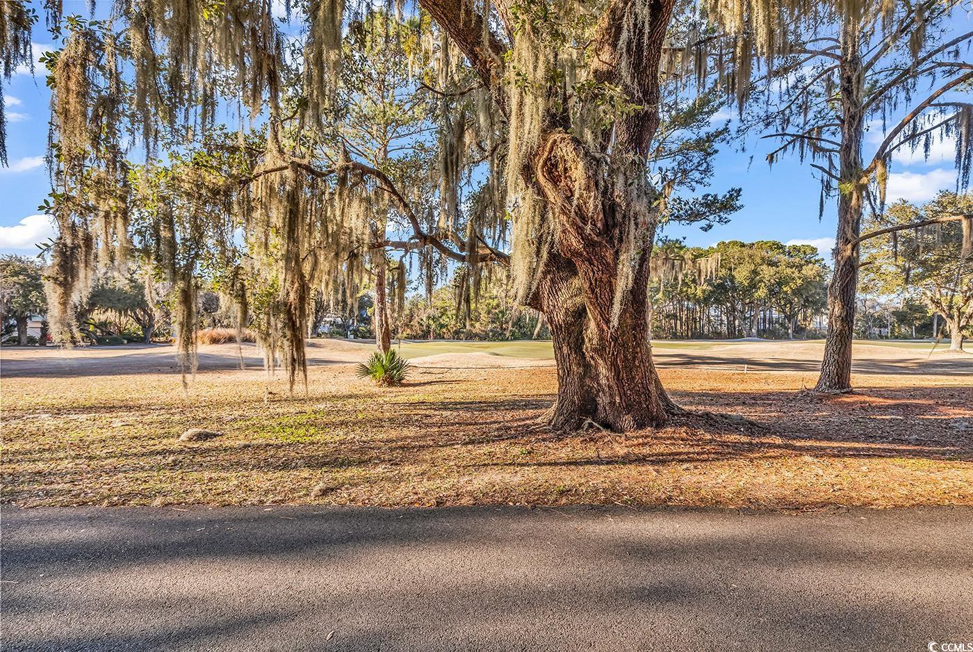 285 Swan Point Road Georgetown, SC 29440 - Photo 5 of 15 No neighbors across the street... Just hole #10