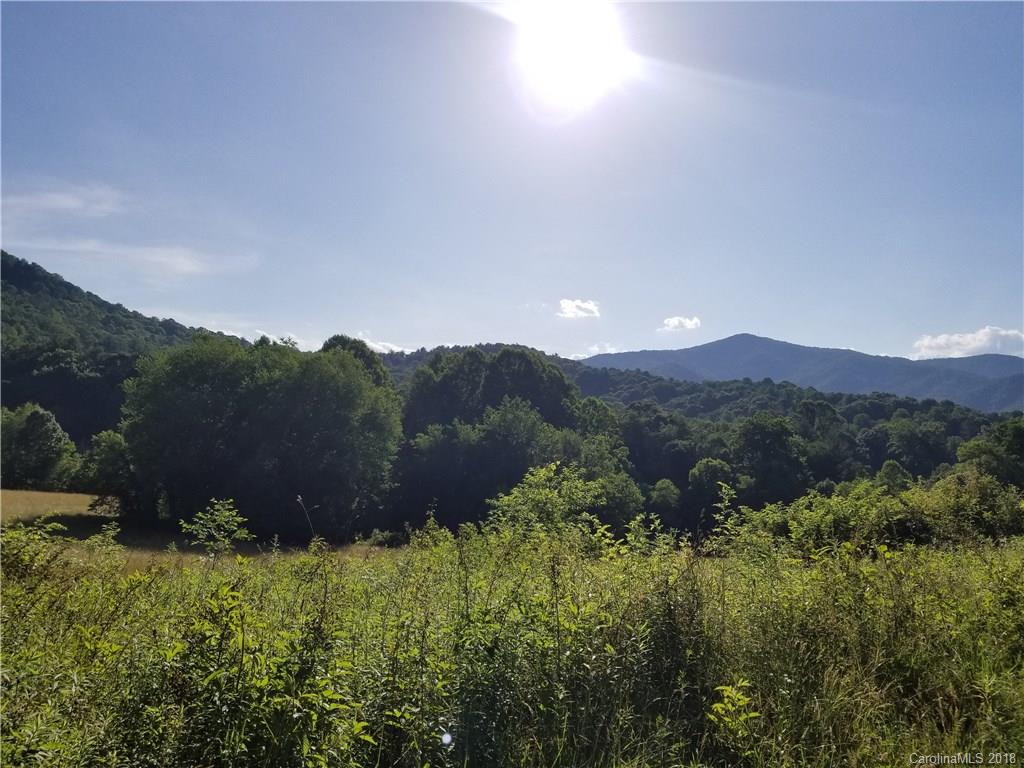 1 B Rabbit Skin Road, Unit TRACT 1B Waynesville, NC 28785 - Photo 3 of 6 Gallery Image 3