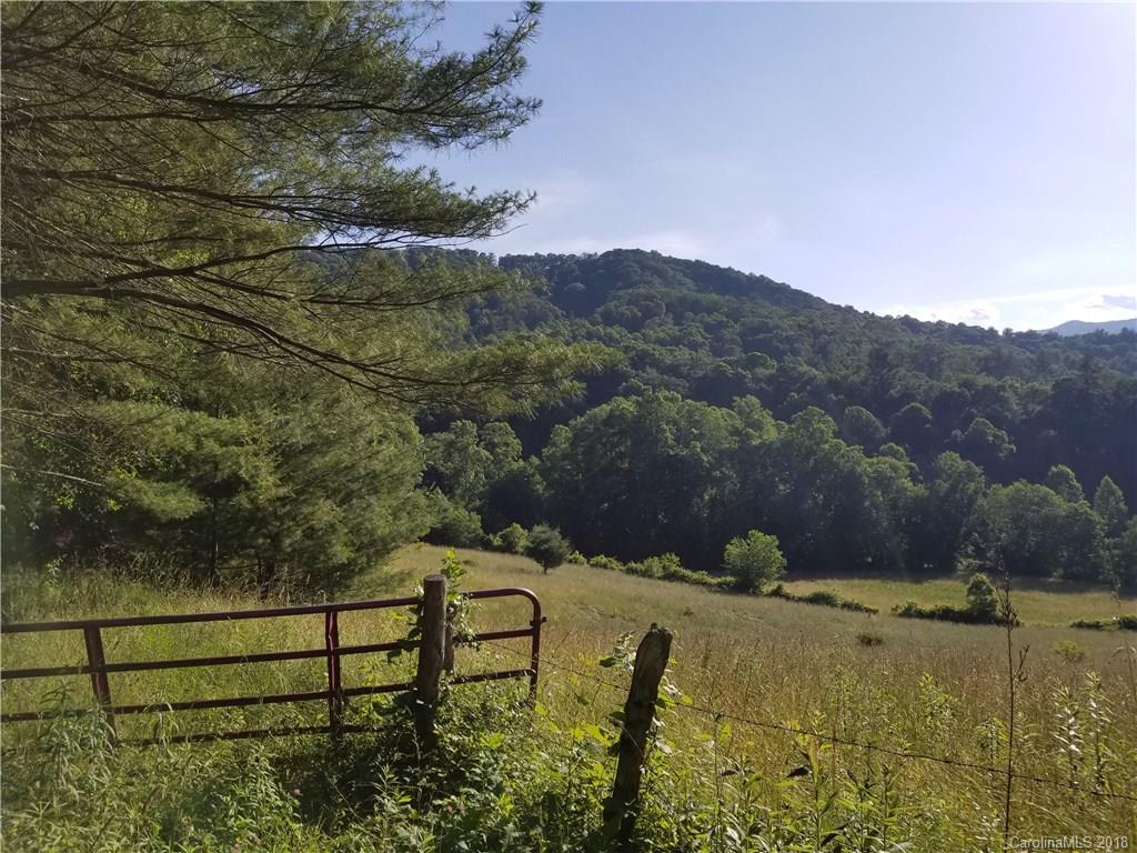 1 B Rabbit Skin Road, Unit TRACT 1B Waynesville, NC 28785 - Photo 4 of 6 Gallery Image 4