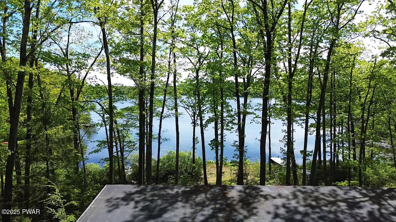 181 Whitney Lake Road Hawley, PA 18428 - Photo 46 of 47 2025-05-20-14-01-53-372