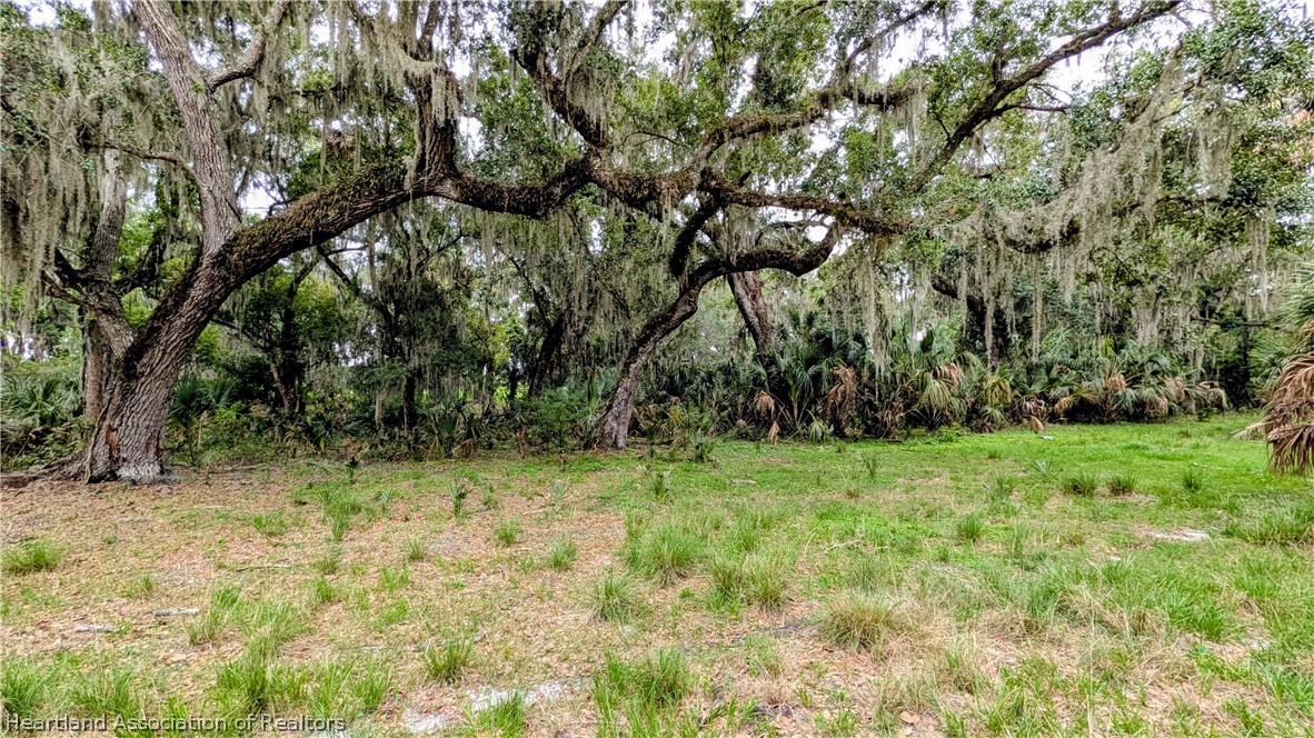 Griffin Road Wauchula, FL 33873 - Photo 2 of 17 a view of a yard with a tree
