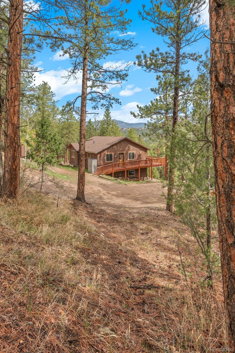 181 Catamount Ridge Road Bailey, CO 80421 - Photo 6 of 47