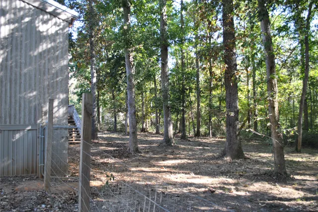 a view of a tree in the middle of a yard