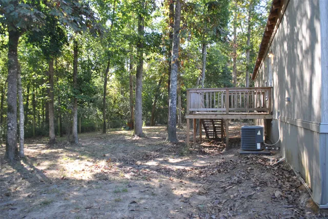 a view of a forest with trees in the background