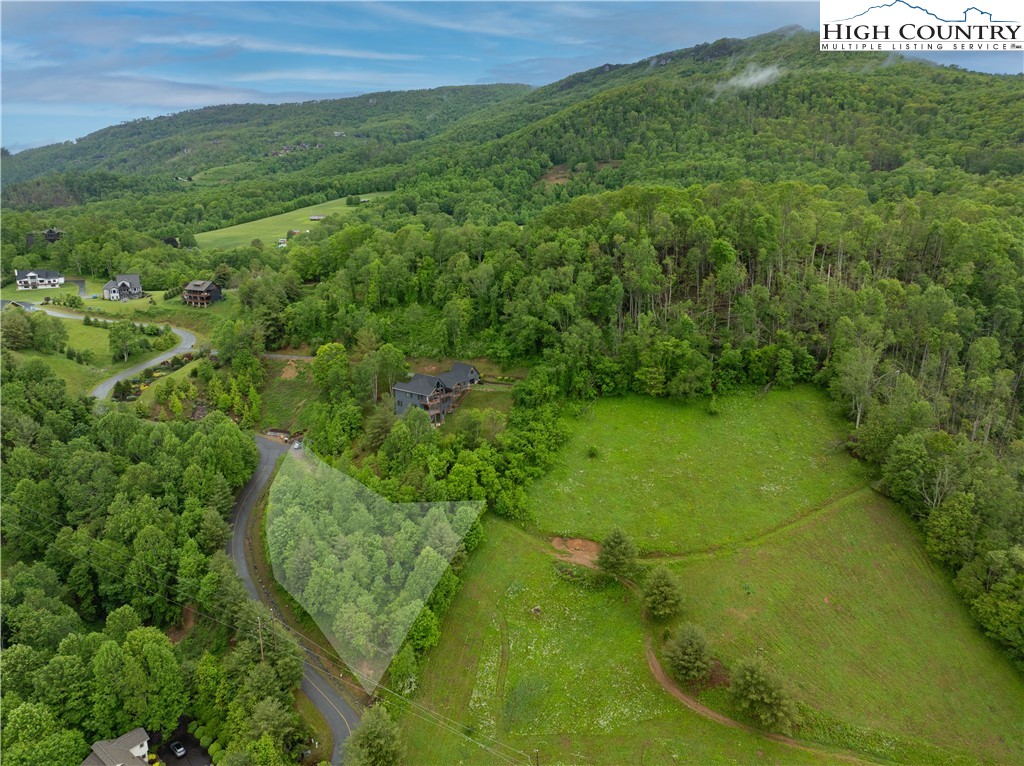Lot 21 Silver Springs Drive Banner Elk, NC 28604 - Photo 11 of 12 a view of a big yard with large trees