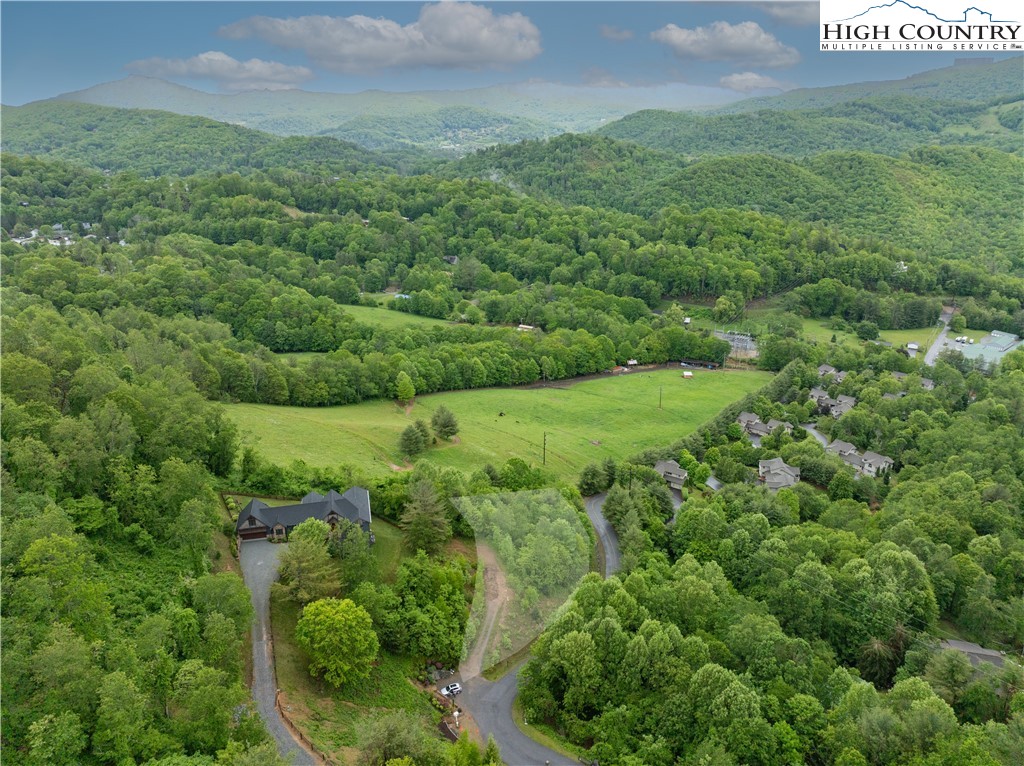 Lot 21 Silver Springs Drive Banner Elk, NC 28604 - Photo 2 of 12 a view of a green field with lots of bushes