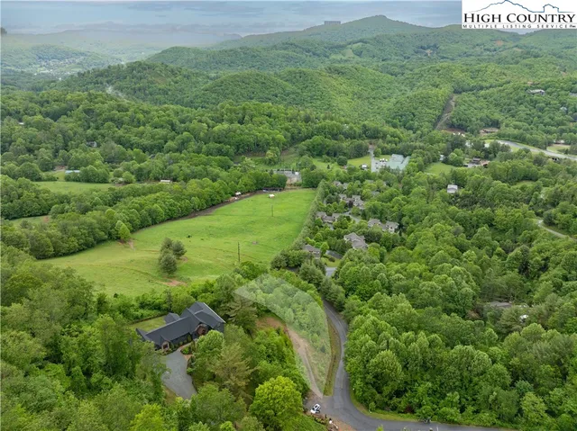 a view of a green field with lots of bushes