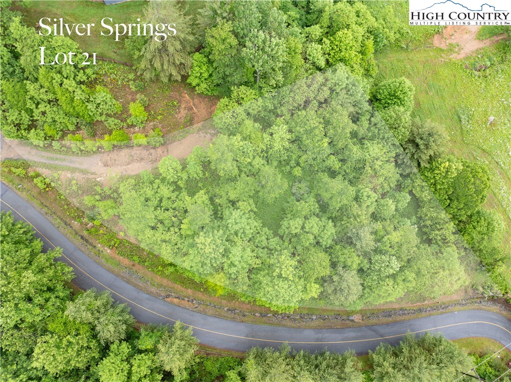 Lot 21 Silver Springs Drive Banner Elk, NC 28604 - Photo 6 of 12 a view of a garden with a bench