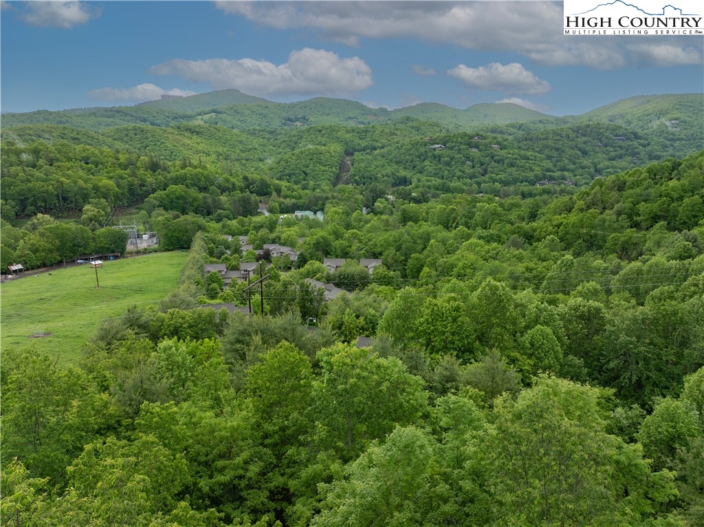 Lot 21 Silver Springs Drive Banner Elk, NC 28604 - Photo 7 of 12 a view of a lush green forest with a houses